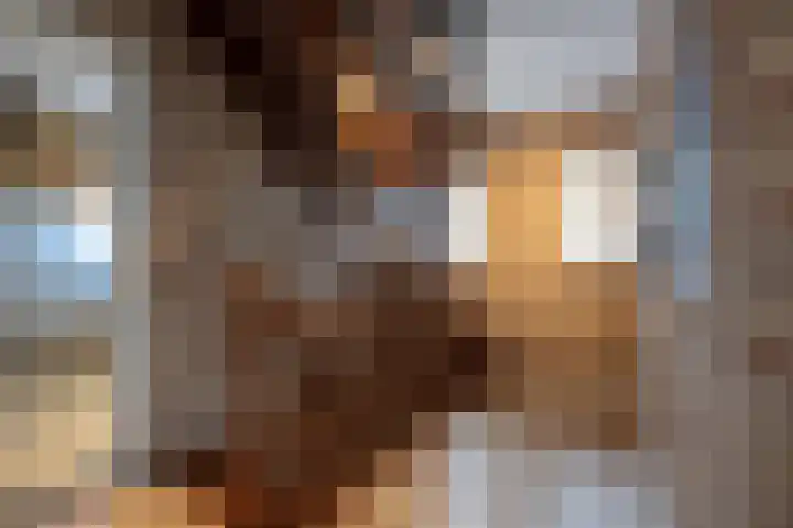 Wilhelminastraat 4 Bosschenhoofd thumbnail 42