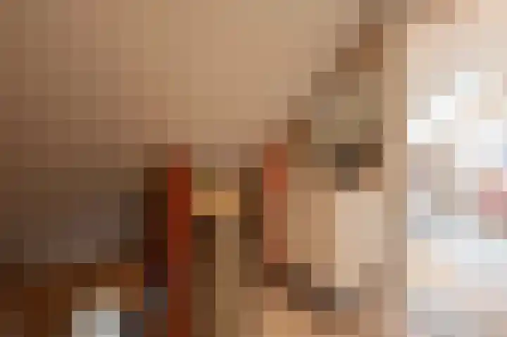 Wilhelminastraat 4 Bosschenhoofd thumbnail 43