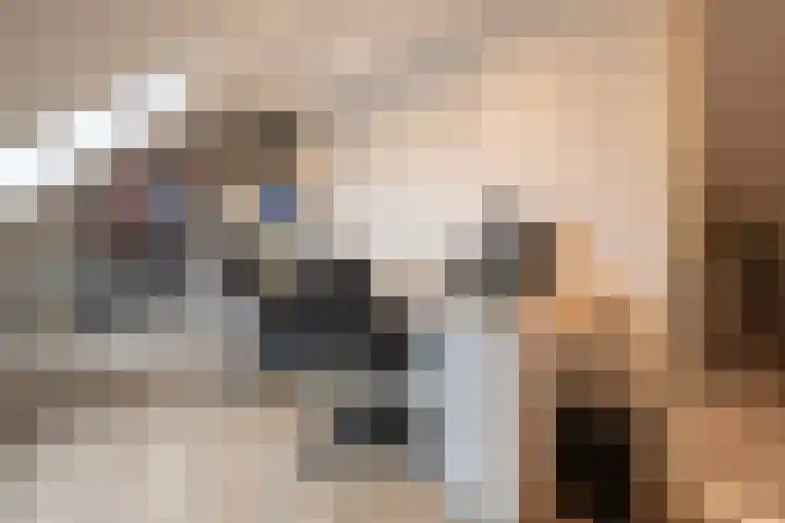 Wilhelminastraat 4 Bosschenhoofd thumbnail 46