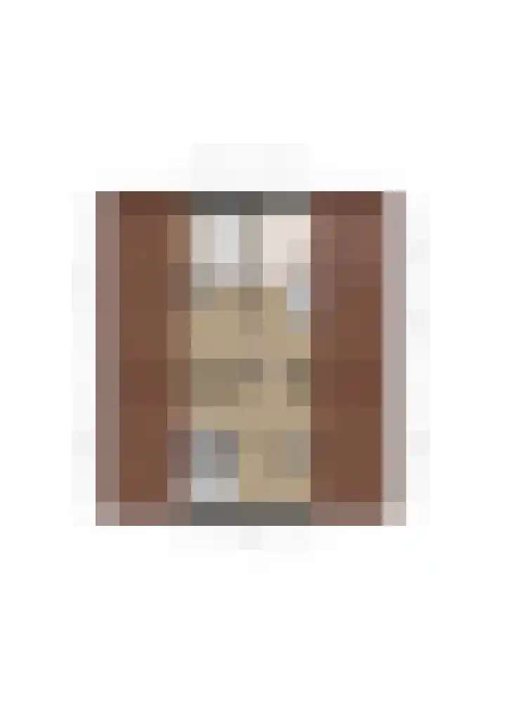 Wilhelminastraat 4 Bosschenhoofd thumbnail 51