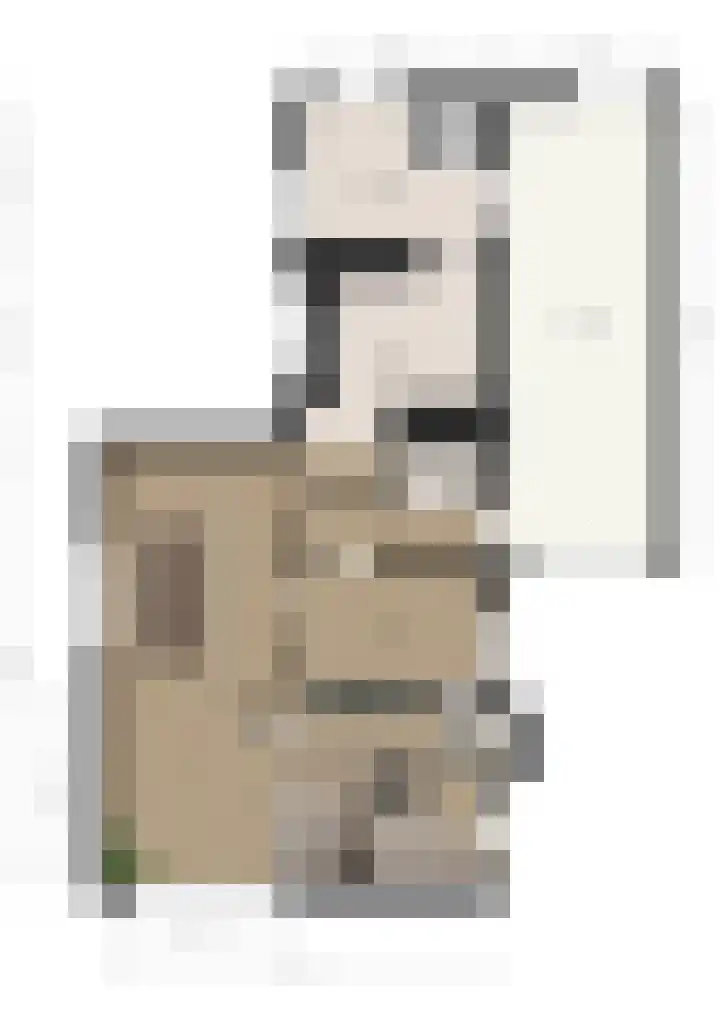 Wilhelminastraat 4 Bosschenhoofd thumbnail 54