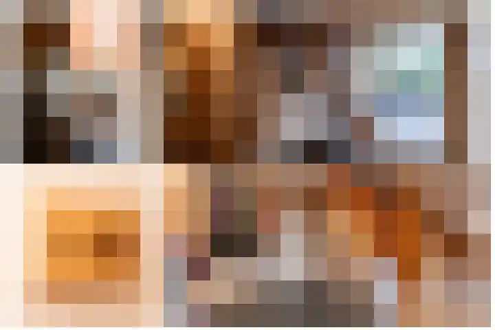 Wilhelminastraat 4 Bosschenhoofd thumbnail 6