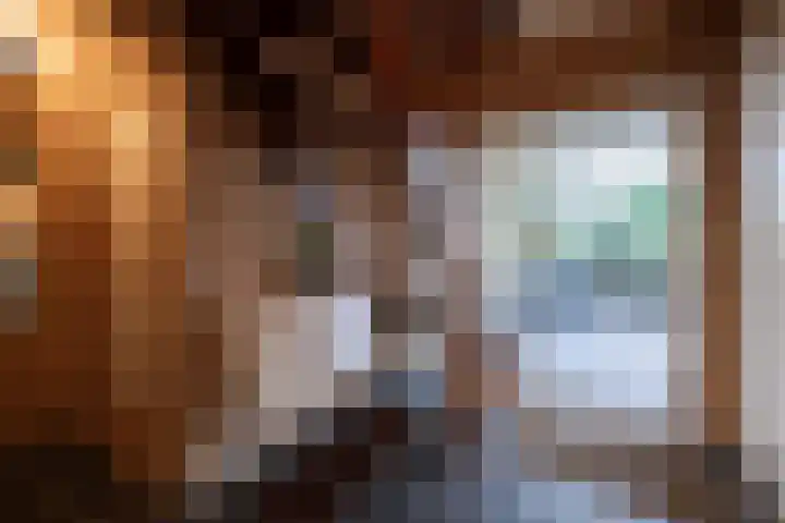 Wilhelminastraat 4 Bosschenhoofd thumbnail 7