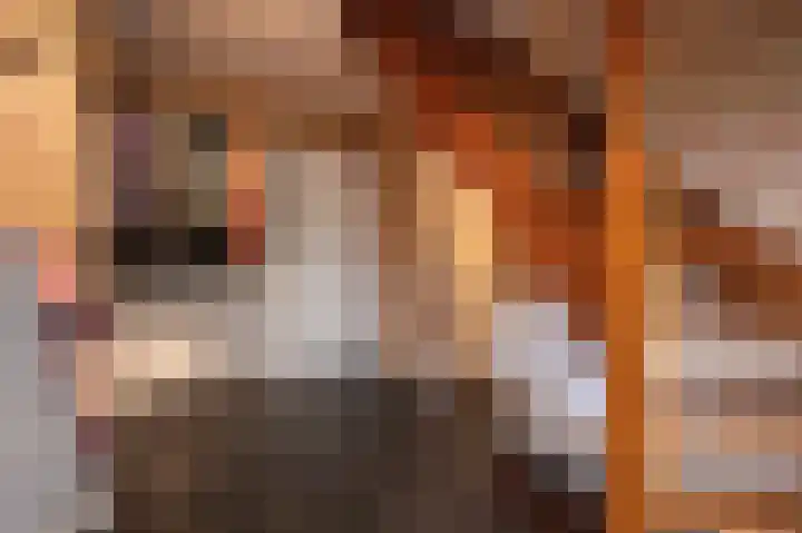 Wilhelminastraat 4 Bosschenhoofd thumbnail 8