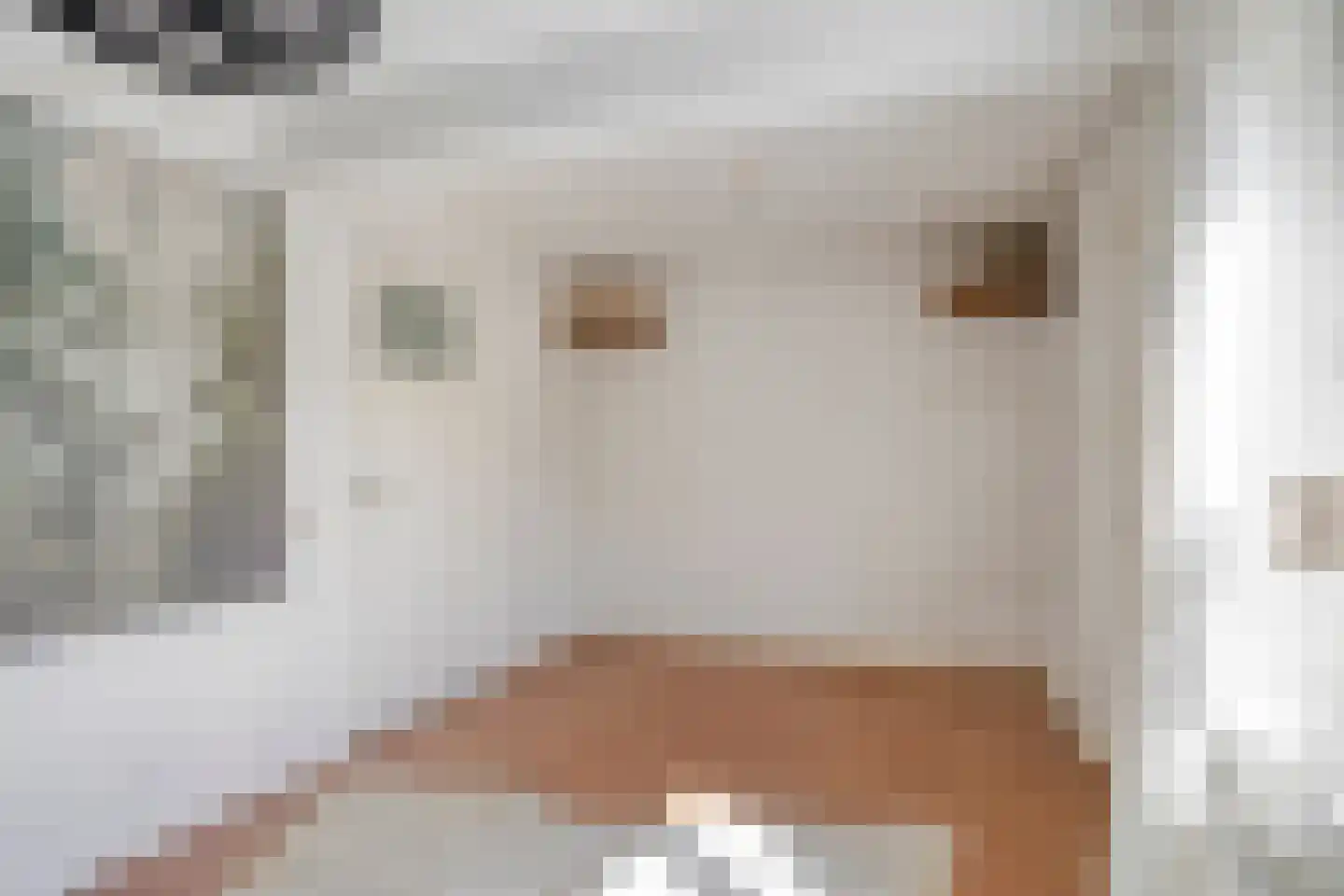 Wilhelminastraat 4 Geleen thumbnail 19