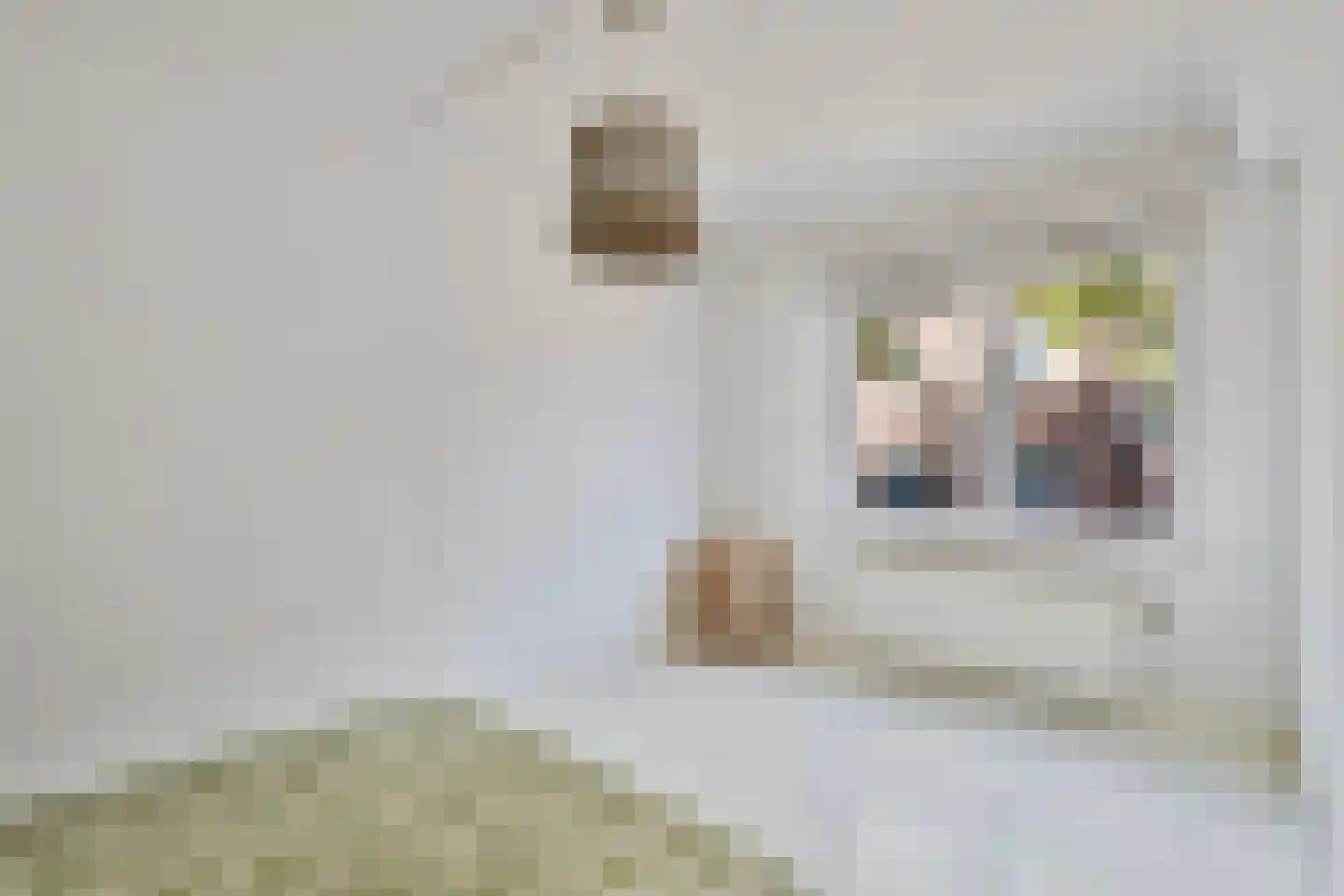 Wilhelminastraat 4 Geleen thumbnail 20