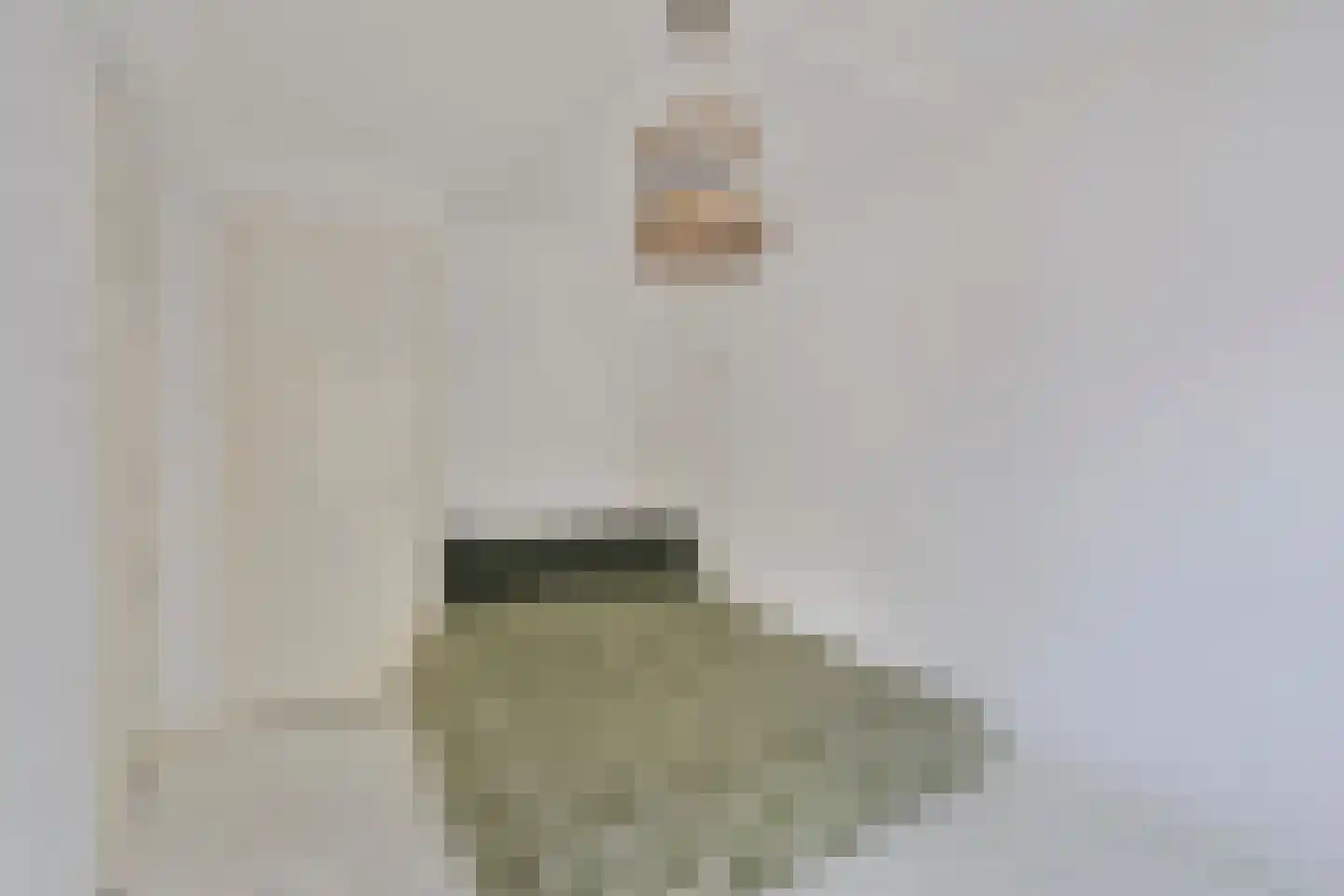 Wilhelminastraat 4 Geleen thumbnail 21