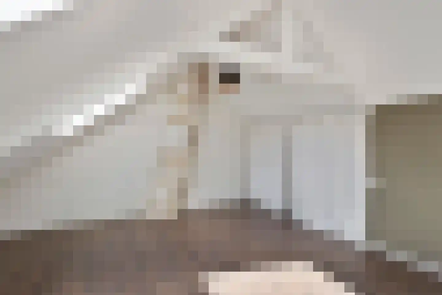 Wilhelminastraat 4 Geleen thumbnail 25