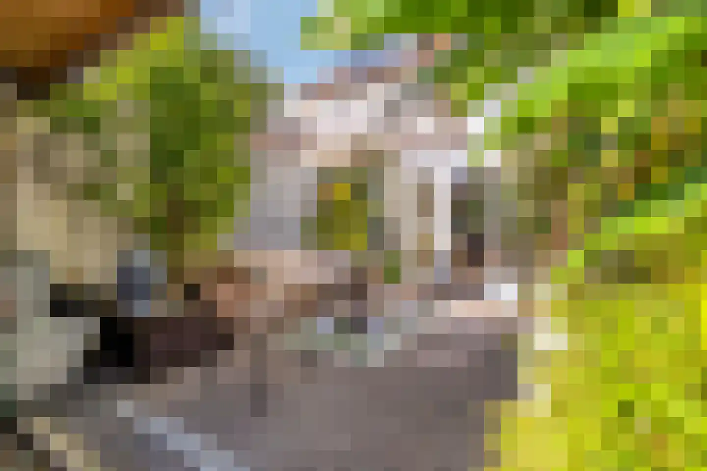 Wilhelminastraat 4 Geleen thumbnail 26
