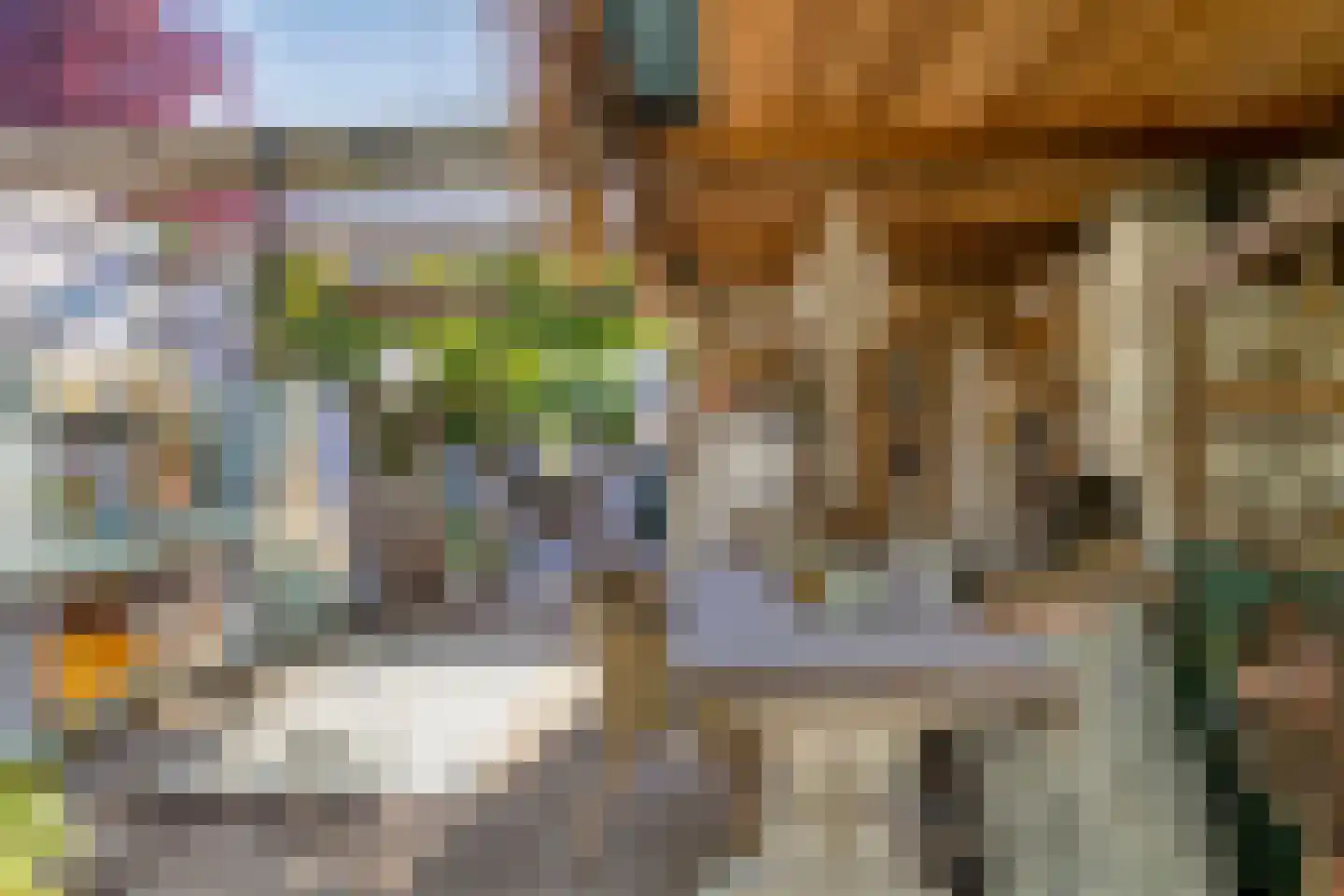 Wilhelminastraat 4 Geleen thumbnail 28