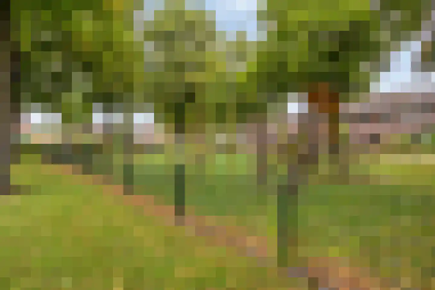 Wilhelminastraat 4 Geleen thumbnail 36
