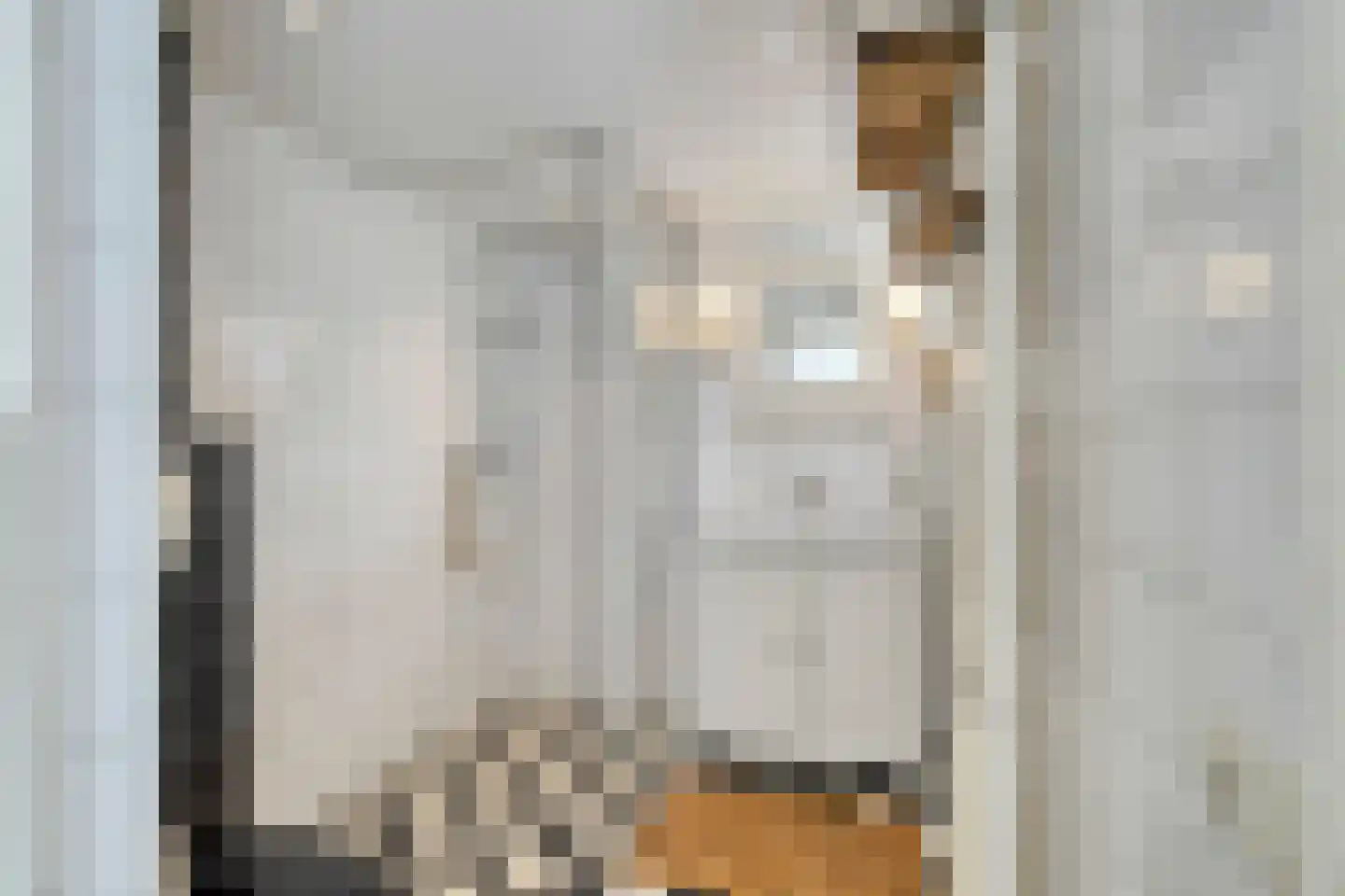 Wilhelminastraat 4 Geleen thumbnail 5