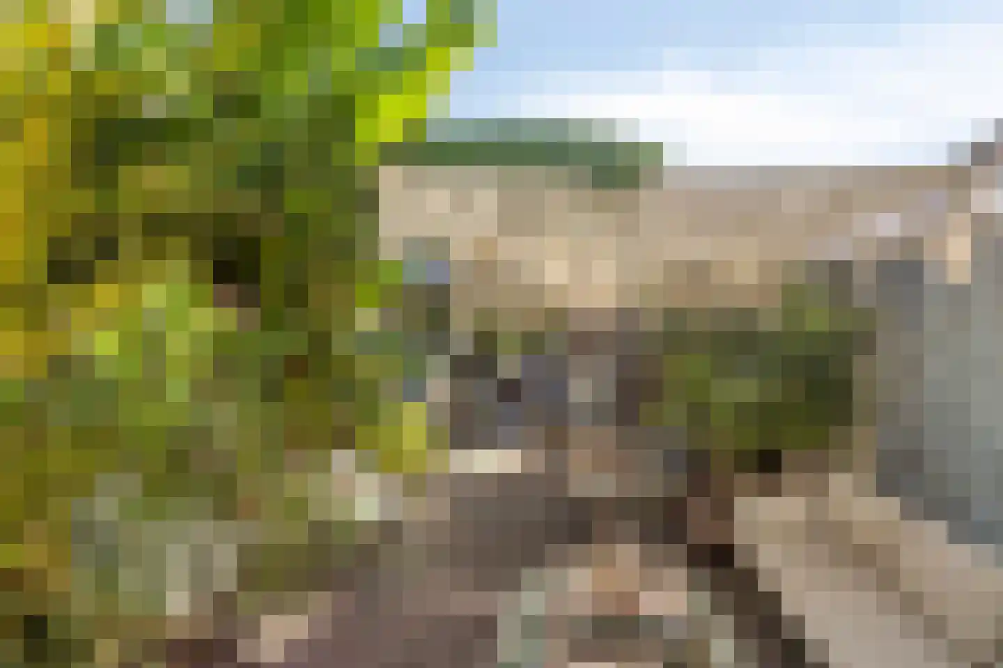 Wilhelminastraat 4 Geleen thumbnail 7