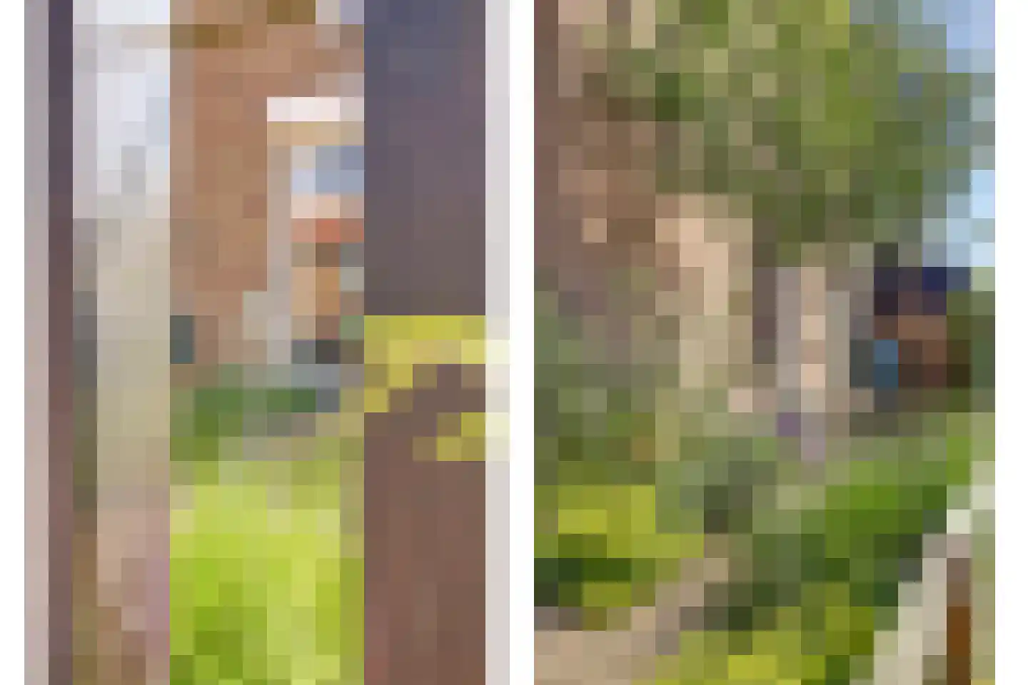 Wilhelminastraat 4 Kortgene thumbnail 30