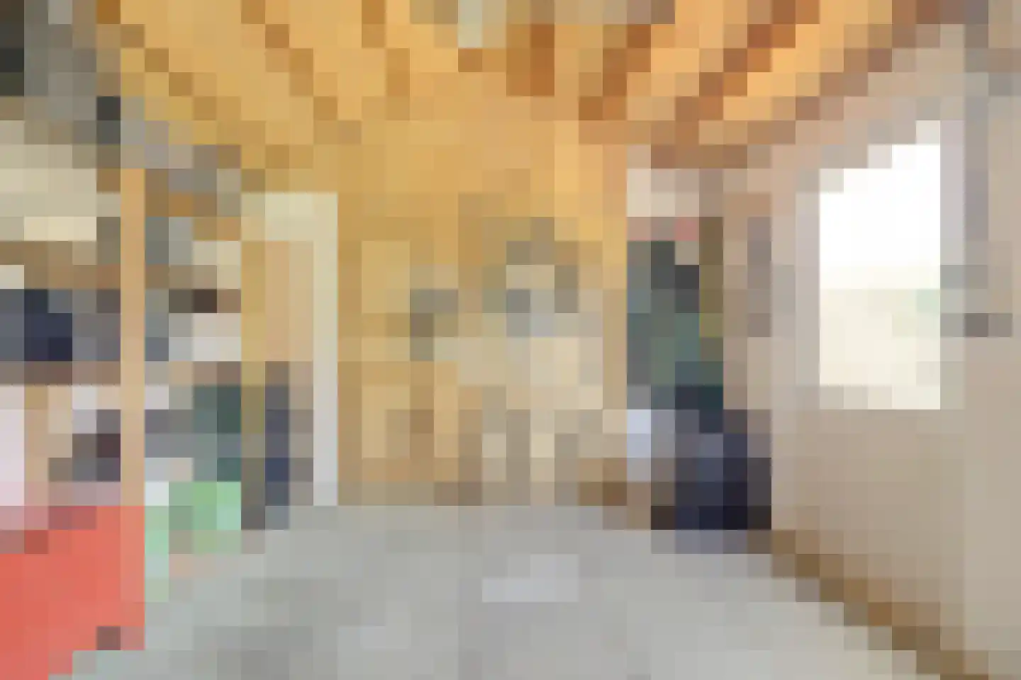 Wilhelminastraat 4 Kortgene thumbnail 34