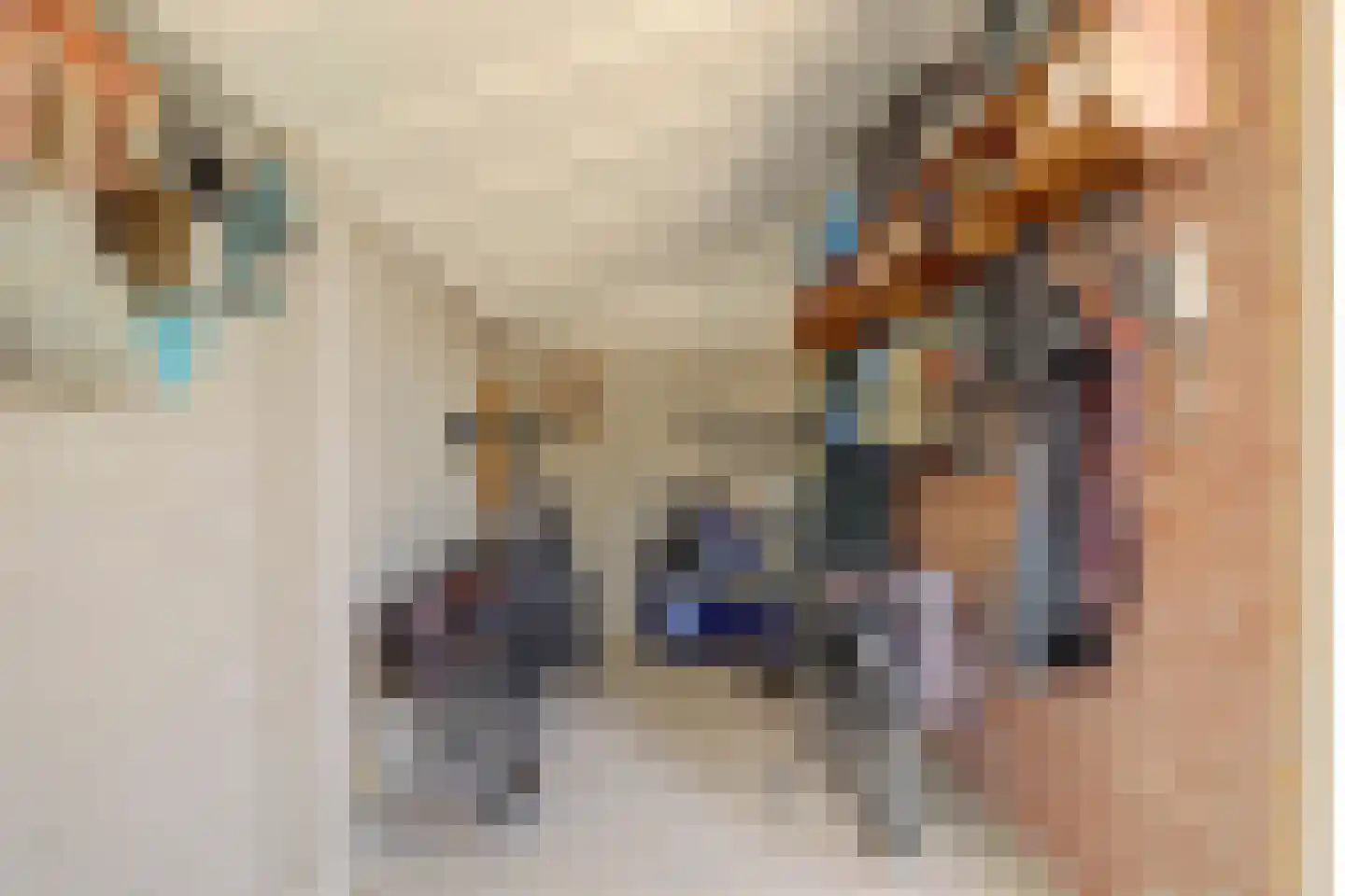 Wilhelminastraat 4 Kortgene thumbnail 36