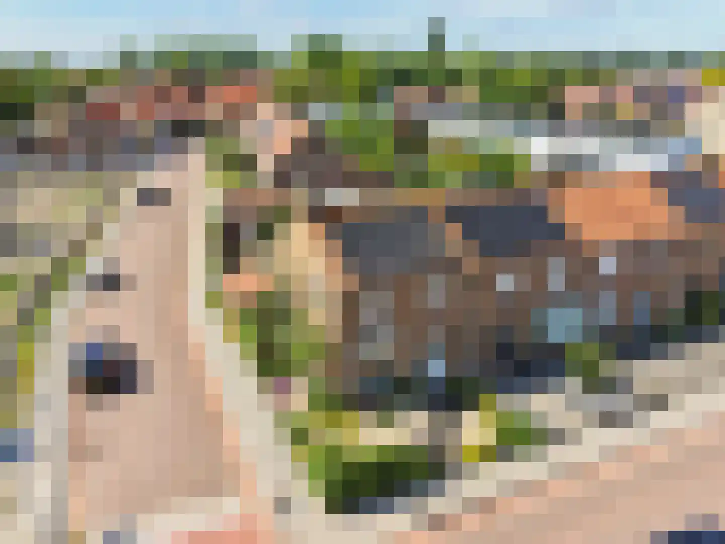 Wilhelminastraat 4 Kortgene thumbnail 38