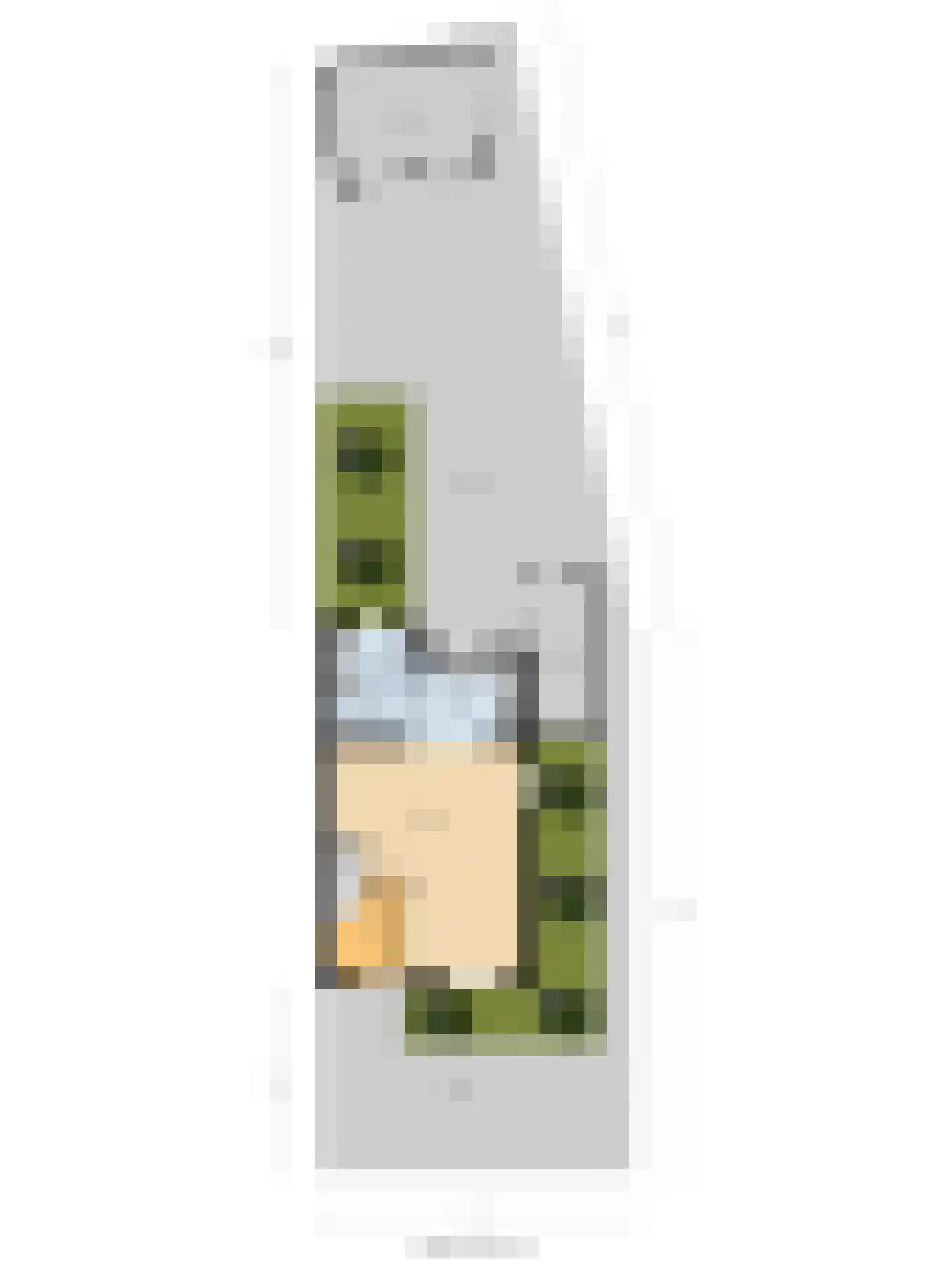 Wilhelminastraat 4 Kortgene thumbnail 44