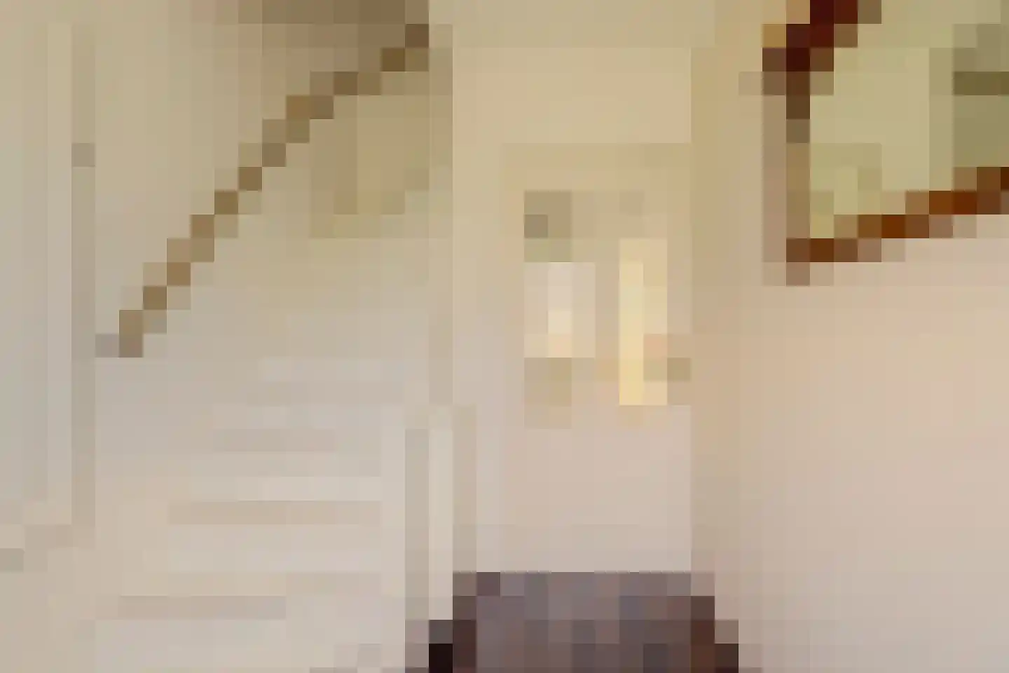 Wilhelminastraat 4 Kortgene thumbnail 8