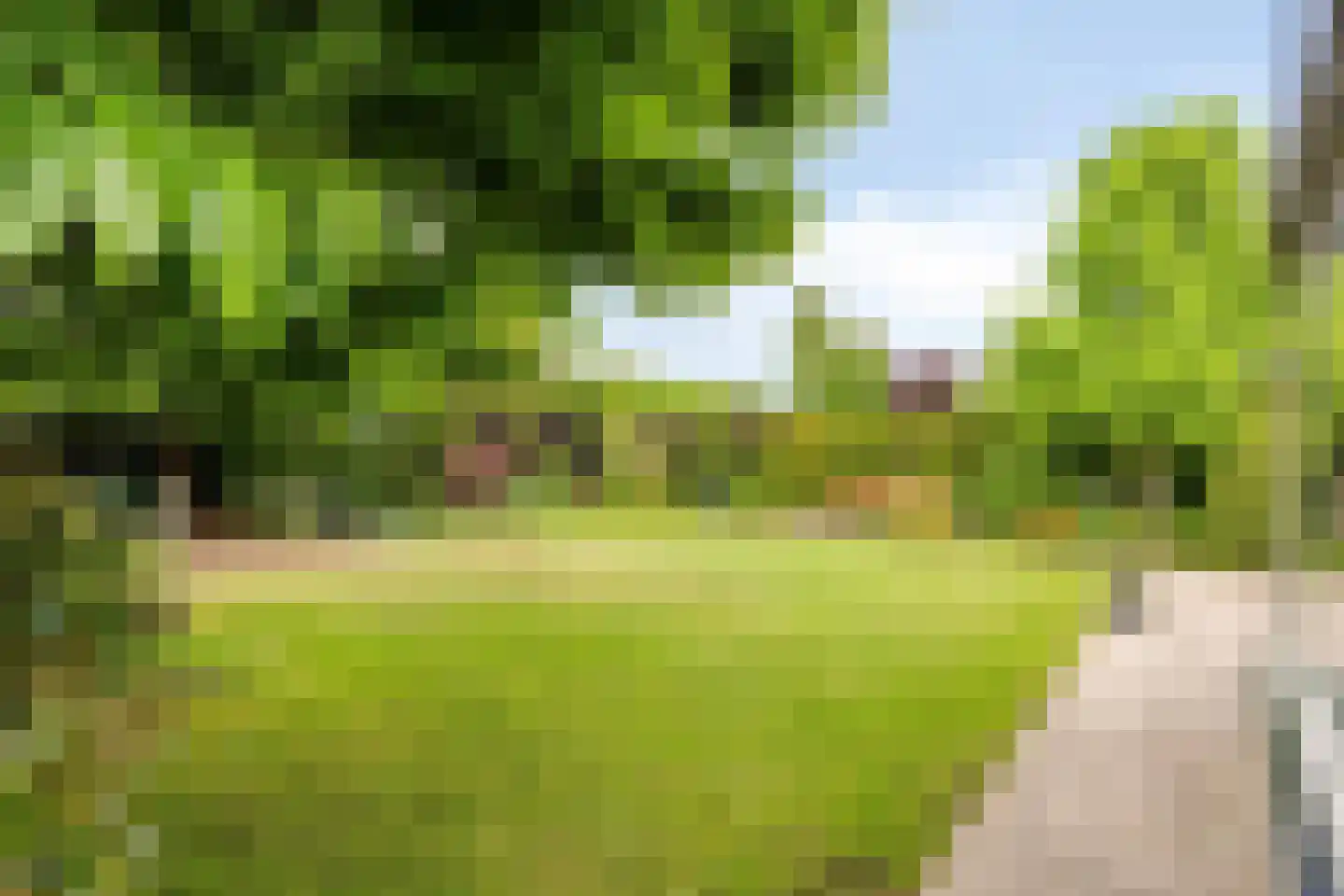 Wilhelminastraat 4 Melick thumbnail 32