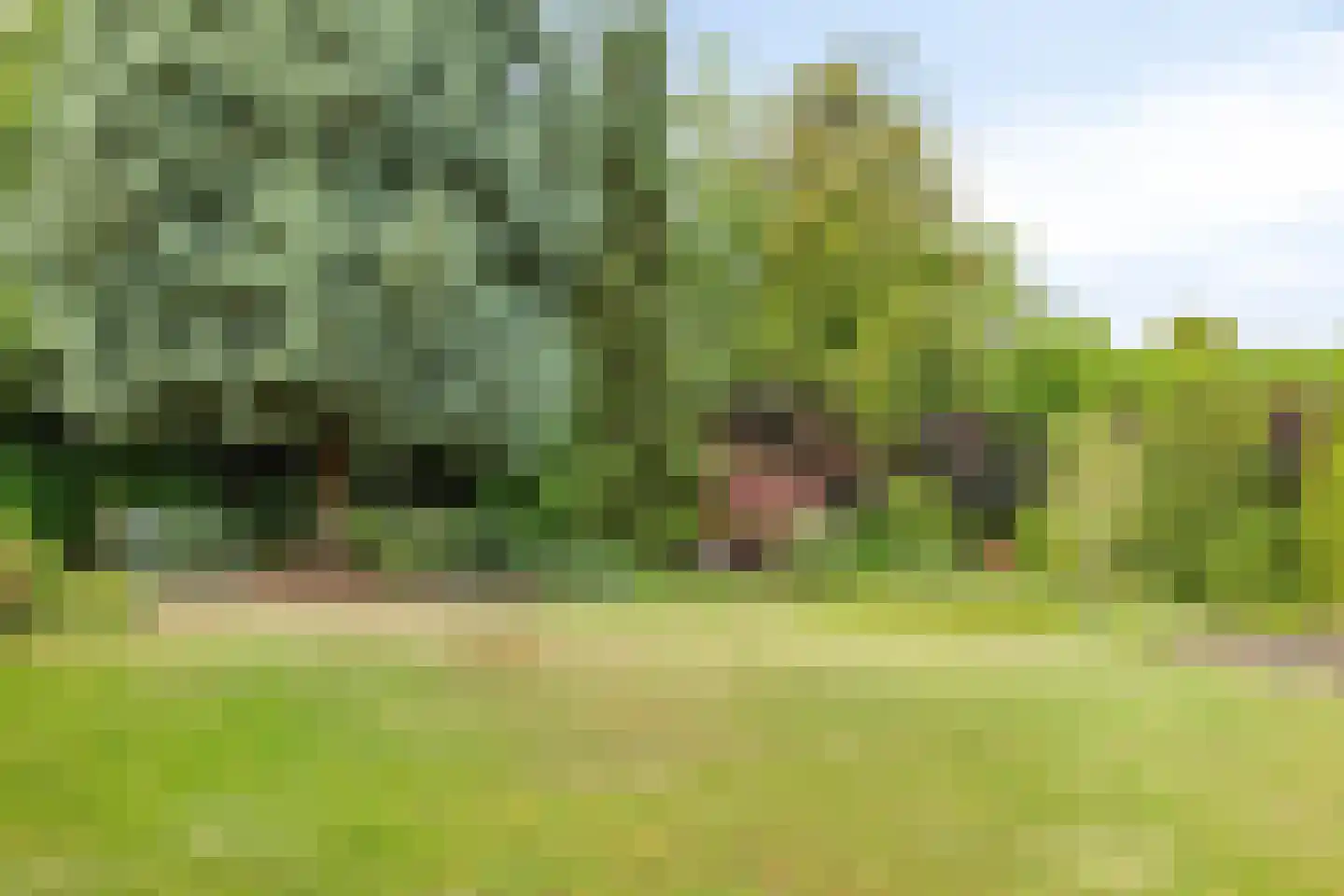 Wilhelminastraat 4 Melick thumbnail 34