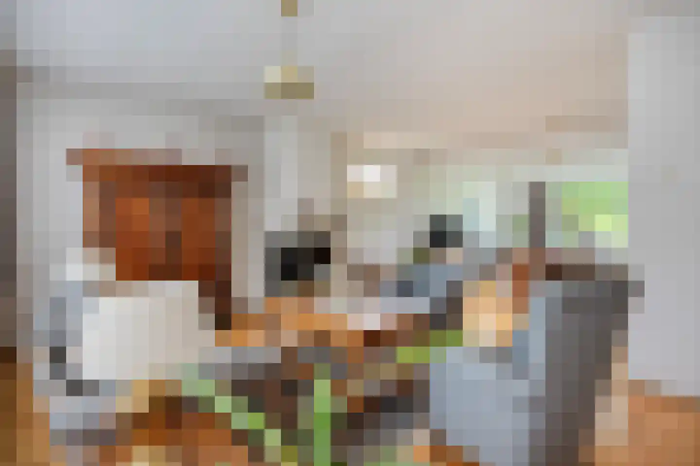 Wilhelminastraat 4 Melick thumbnail 9
