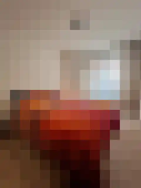 Wilhelminastraat 4 Oosterbeek thumbnail 5