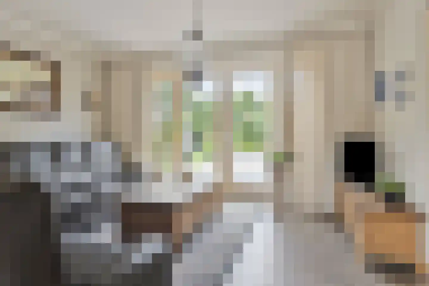 Wilhelminastraat 4 Sprang-Capelle thumbnail 22