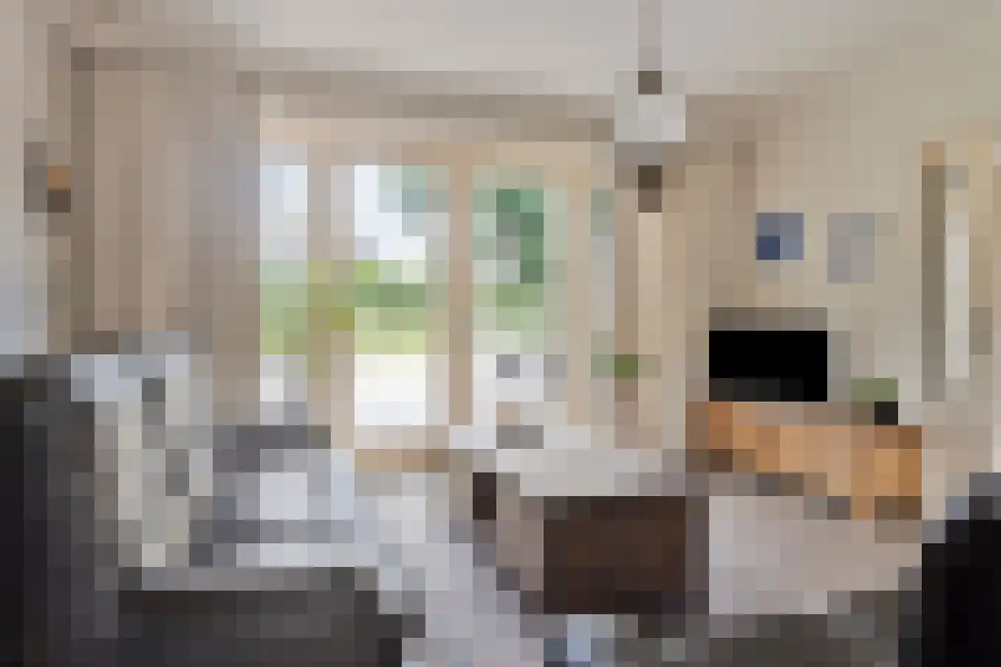 Wilhelminastraat 4 Sprang-Capelle thumbnail 23