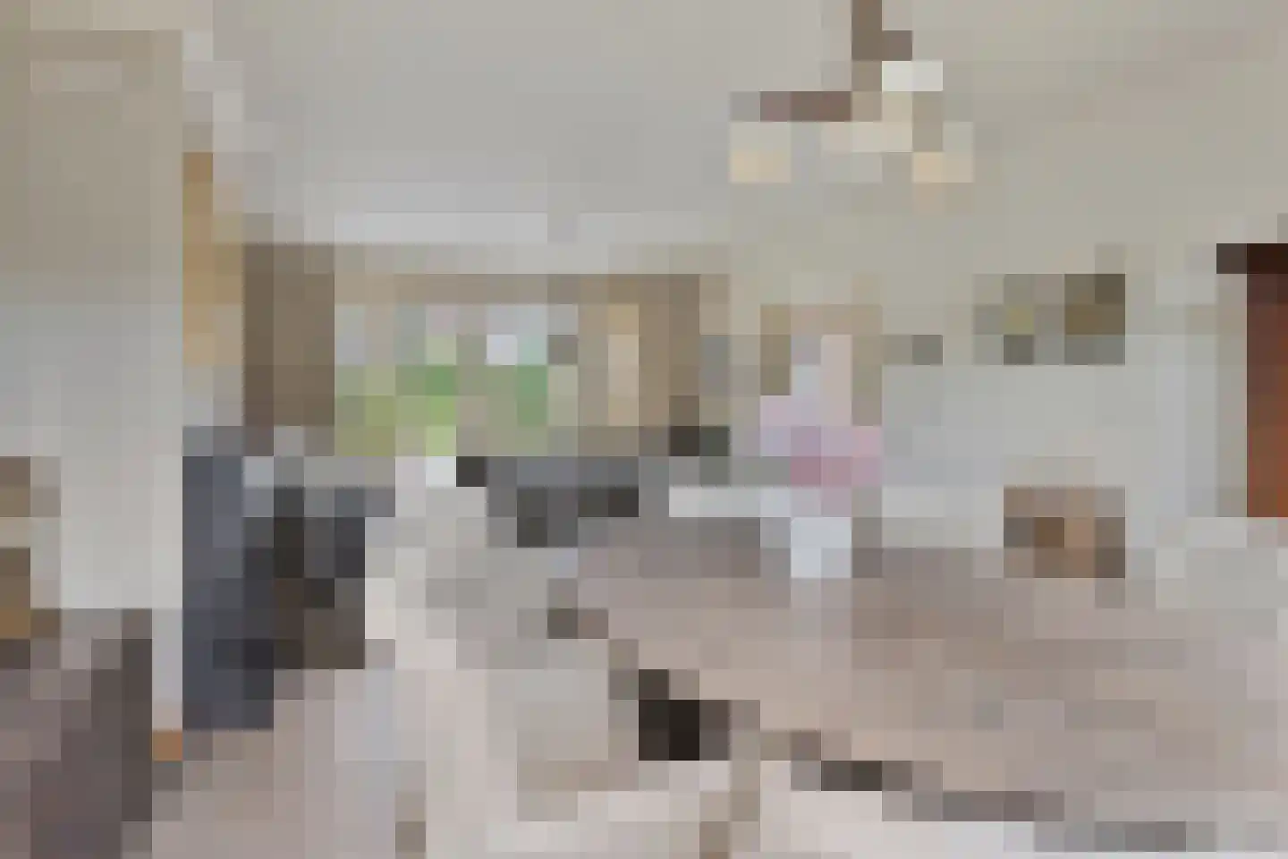 Wilhelminastraat 4 Sprang-Capelle thumbnail 26