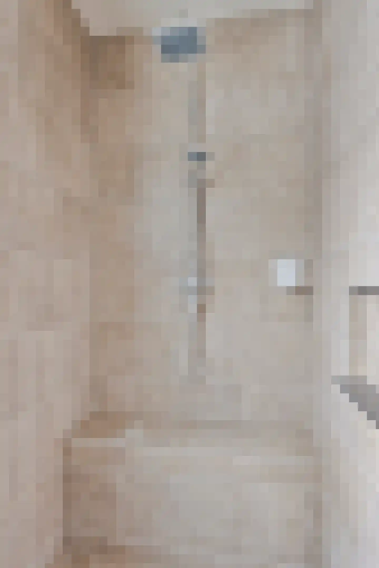 Wilhelminastraat 4 Sprang-Capelle thumbnail 36