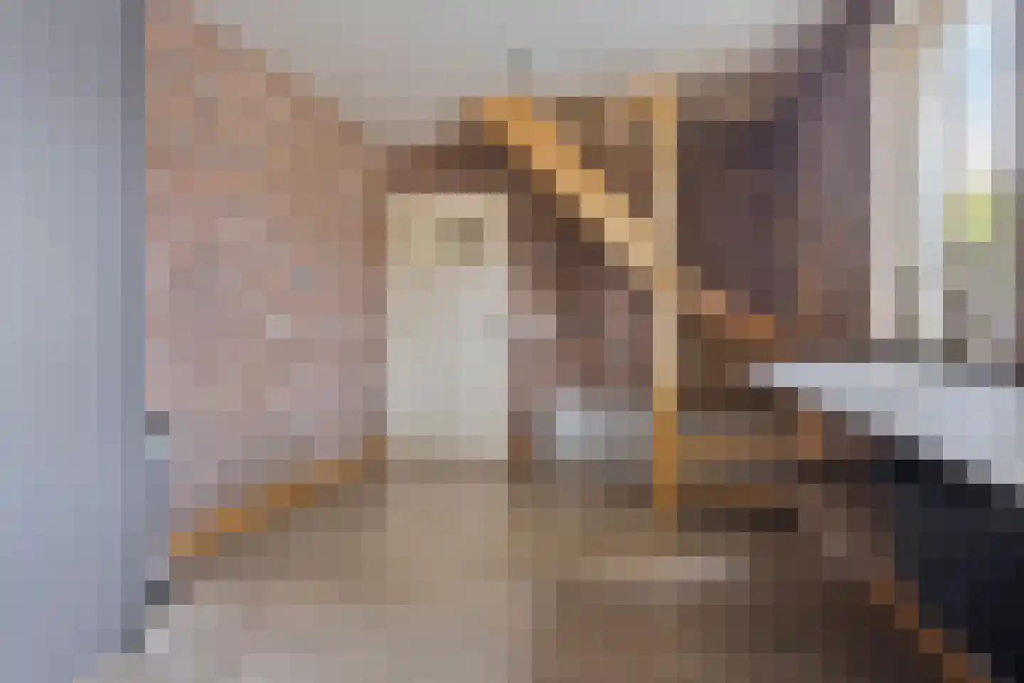 Wilhelminastraat 4 Sprang-Capelle thumbnail 42