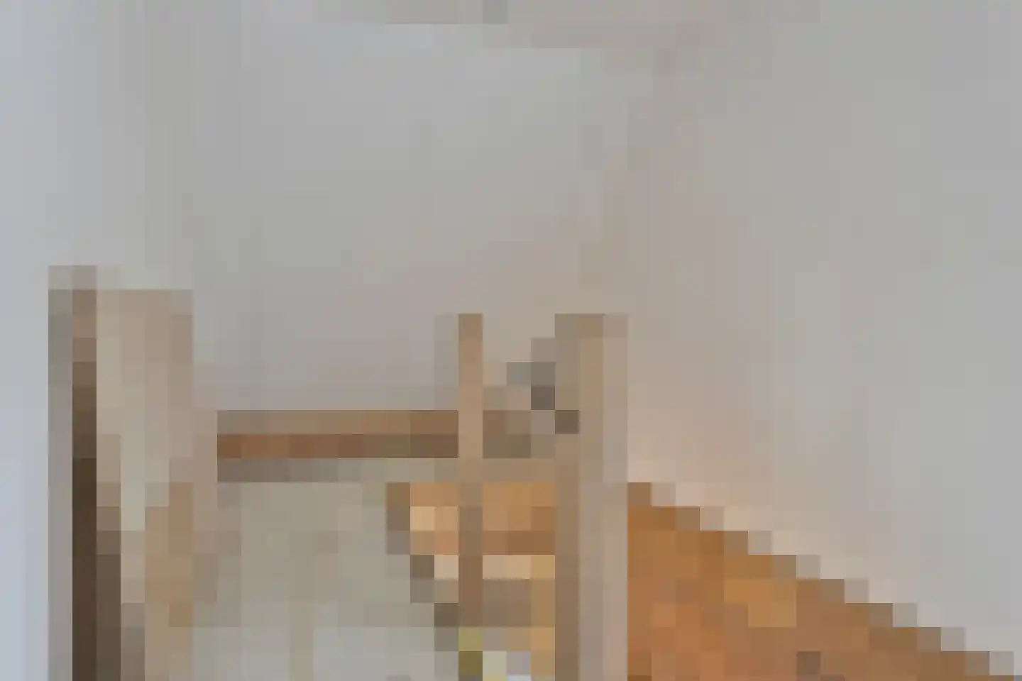 Wilhelminastraat 4 Sprang-Capelle thumbnail 43