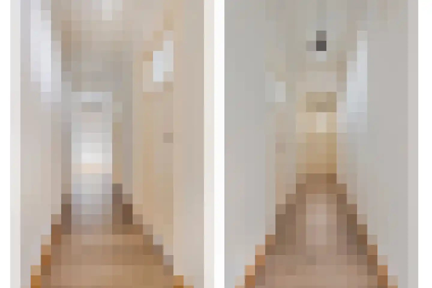 Wilhelminastraat 4 Sprang-Capelle thumbnail 5