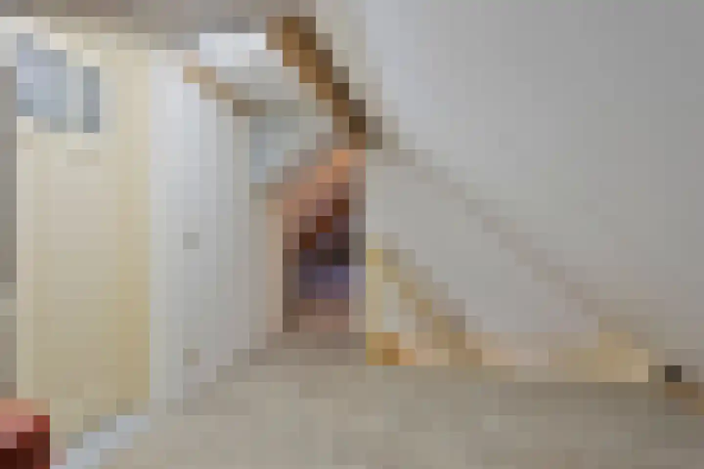 Wilhelminastraat 4 Sprang-Capelle thumbnail 51