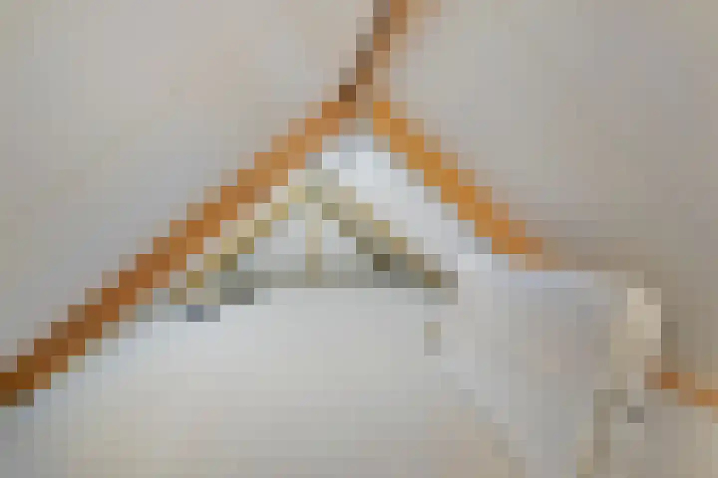 Wilhelminastraat 4 Sprang-Capelle thumbnail 52