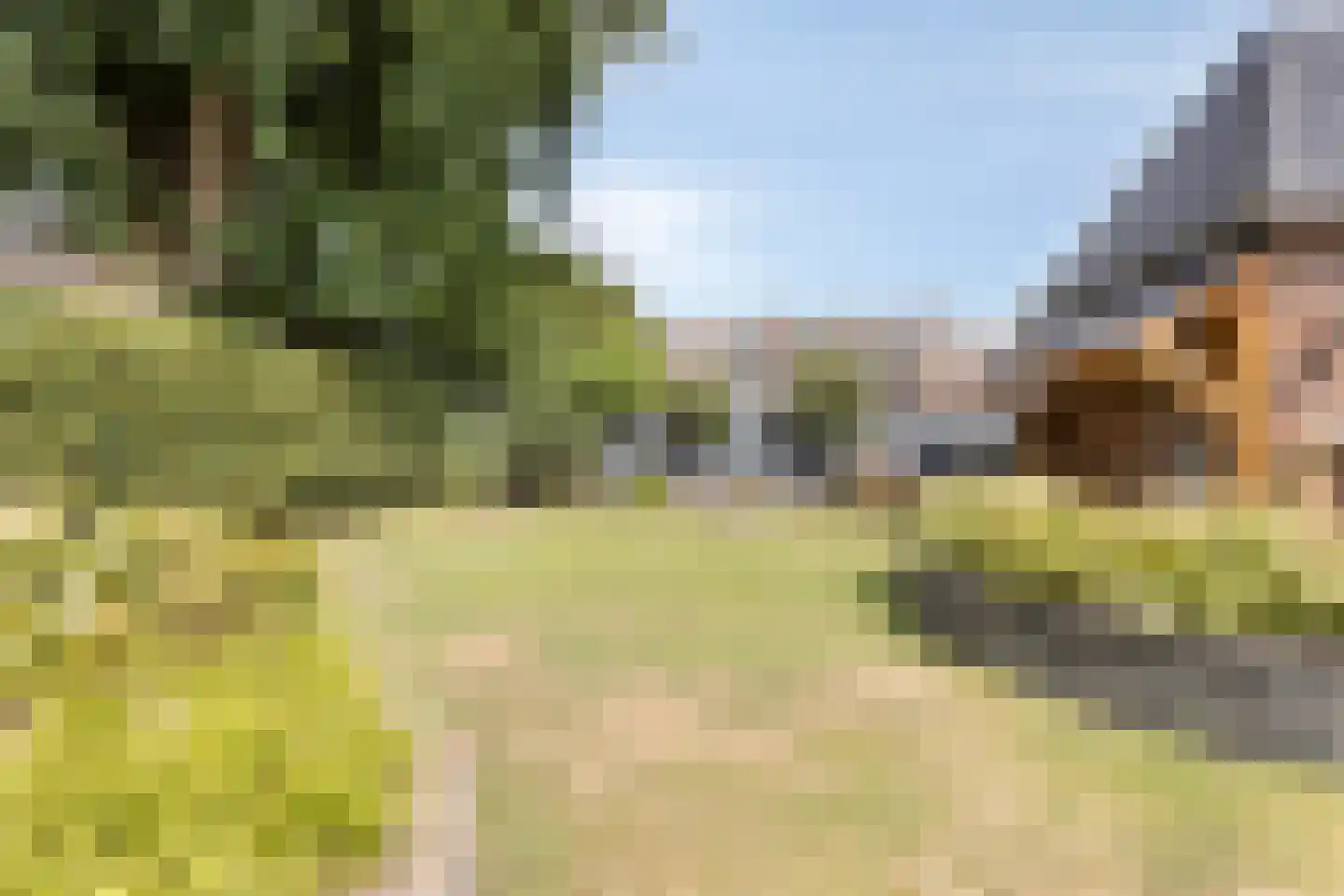 Wilhelminastraat 4 Sprang-Capelle thumbnail 58