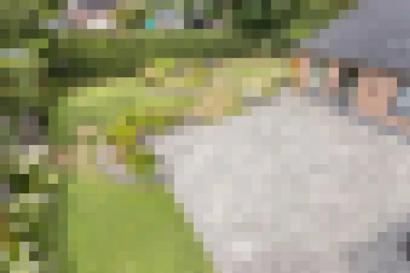 Wilhelminastraat 4 Sprang-Capelle thumbnail 60