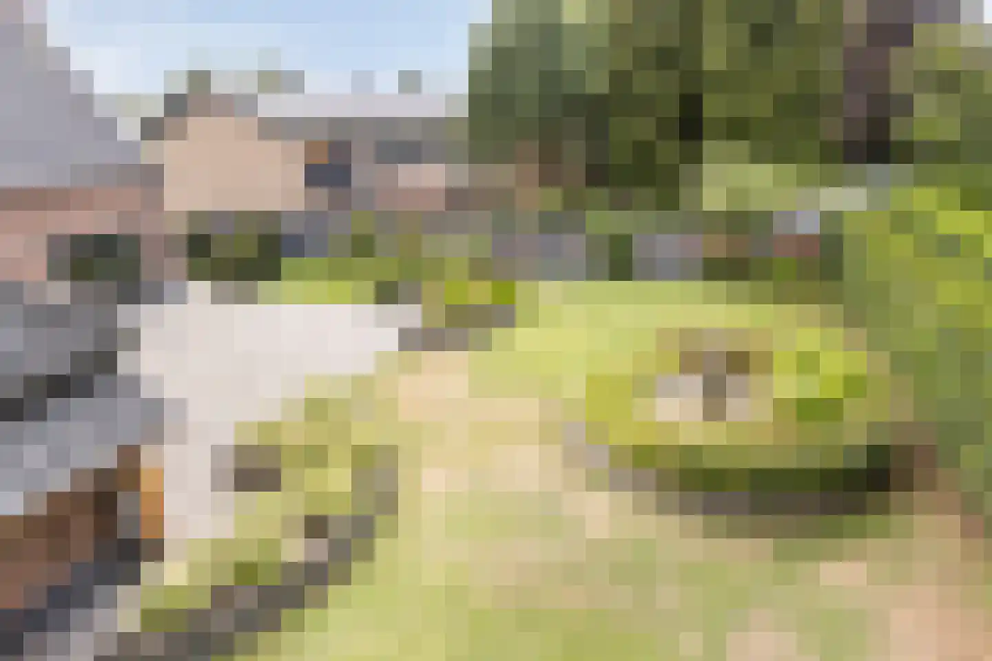 Wilhelminastraat 4 Sprang-Capelle thumbnail 63