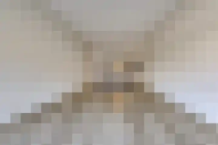 Wilhelminastraat 4 Vlagtwedde thumbnail 12