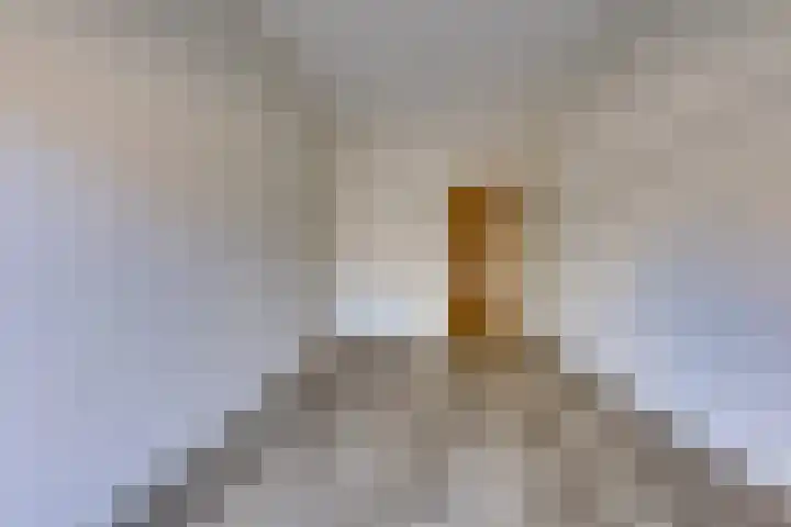 Wilhelminastraat 4 Vlagtwedde thumbnail 15