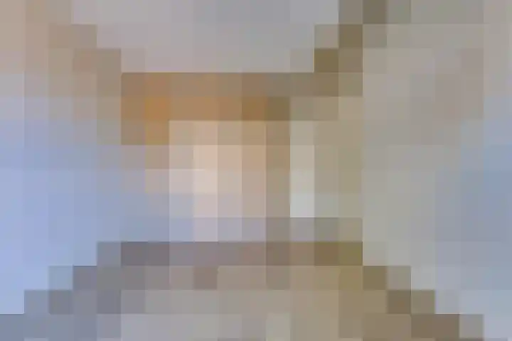 Wilhelminastraat 4 Vlagtwedde thumbnail 18