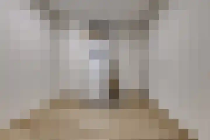 Wilhelminastraat 4 Vlagtwedde thumbnail 20