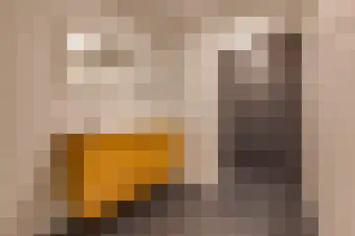 Wilhelminastraat 4 Vlagtwedde thumbnail 5