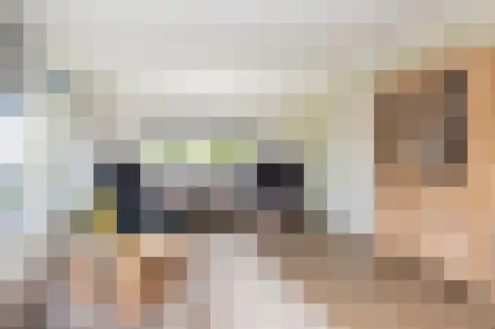 Wilhelminastraat 4 Zwaag thumbnail 11