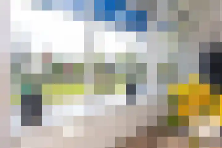 Wilhelminastraat 4 Zwaag thumbnail 12