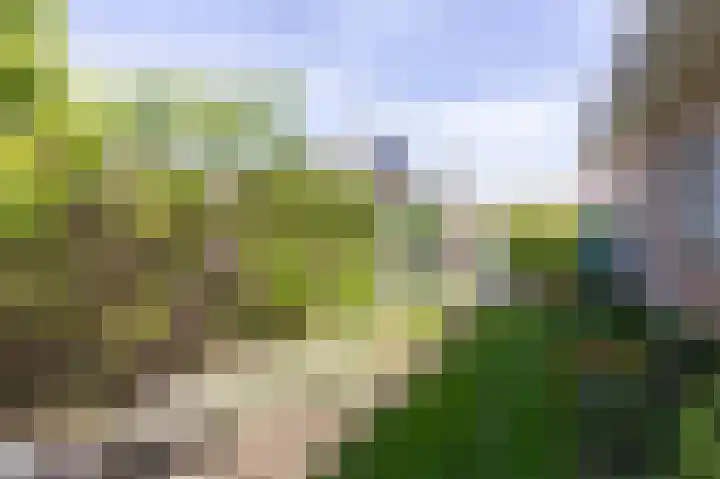 Wilhelminastraat 4 Zwaag thumbnail 22