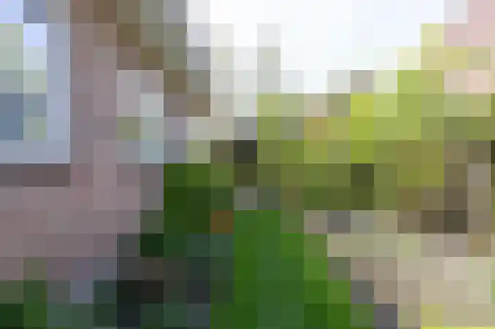 Wilhelminastraat 4 Zwaag thumbnail 23
