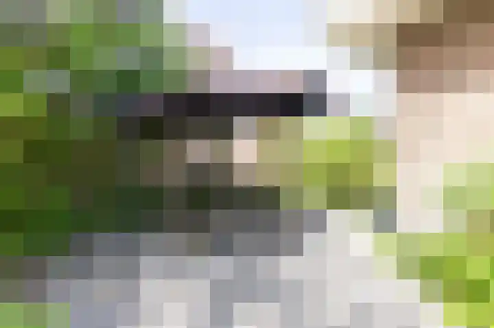Wilhelminastraat 4 Zwaag thumbnail 24