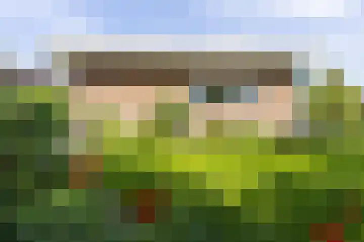 Wilhelminastraat 4 Zwaag thumbnail 27